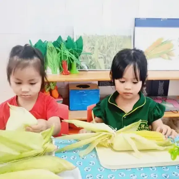 Thông Báo Tuyển Sinh Năm Học Mới – Ưu Đãi Học Phí Hấp Dẫn Tại Trường Mầm non Duy Nhật Tân